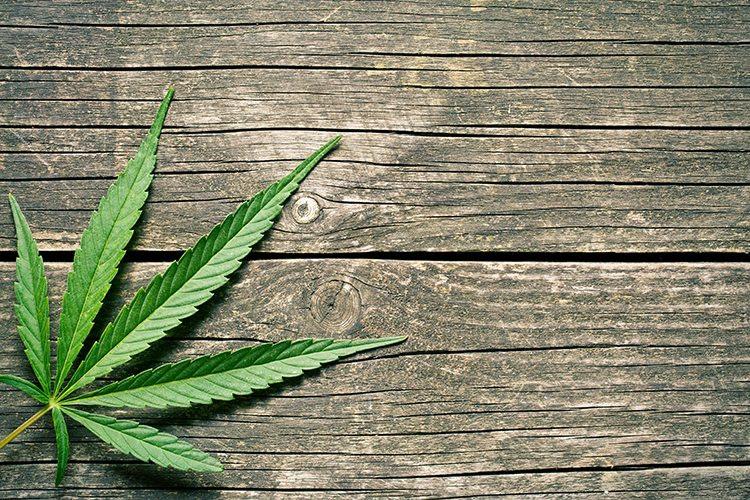 Use of hemp and CBD as medicine in ancient times