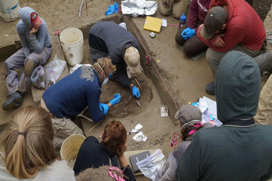 The DNA Of A 11,500 Old Ancient Infant Reveals Mysterious Lost Ancestors Of Native Americans