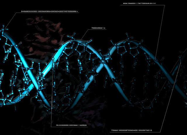 Ancient Texts Show How The Human Species Came Into Existence