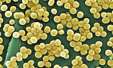 Researchers Discover Ancient Elixir For Modern Deadly Bacteria